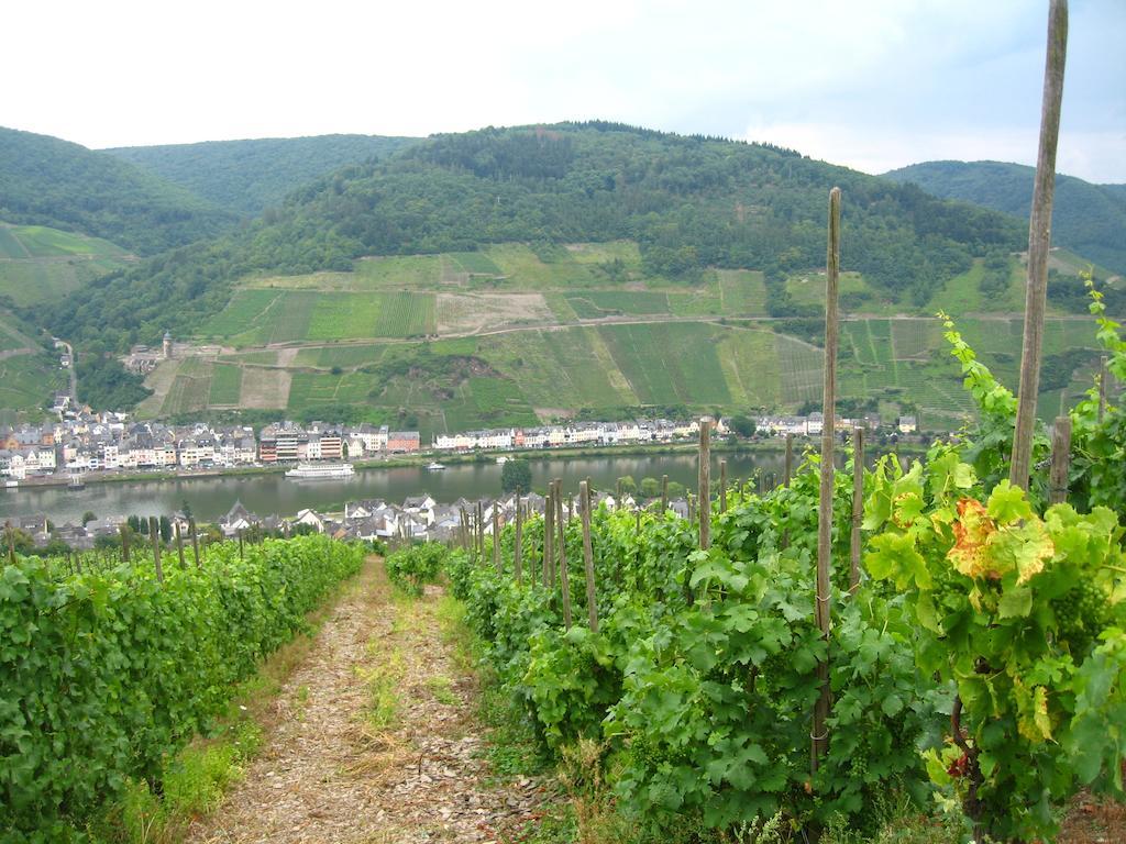 Haus Anna Villa Zell an der Mosel Esterno foto