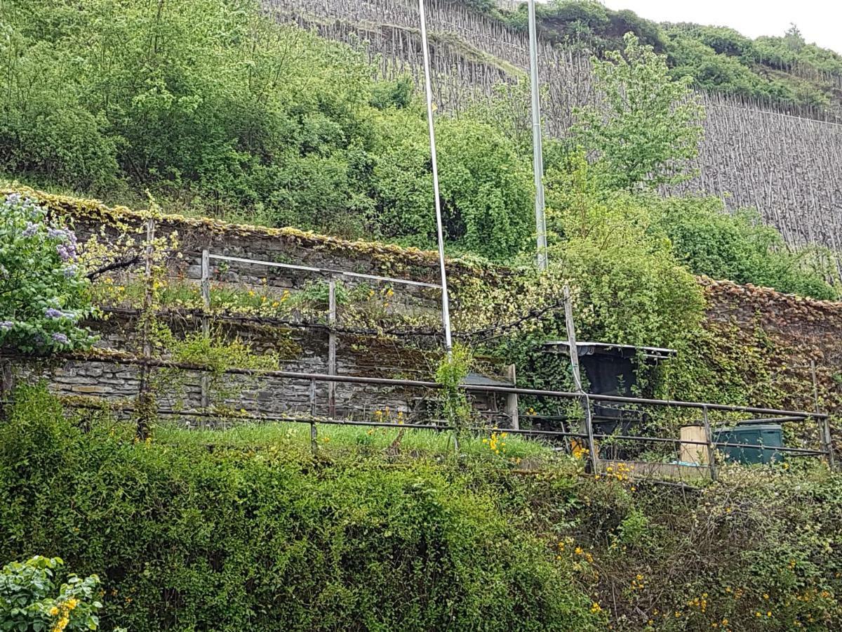 Haus Anna Villa Zell an der Mosel Esterno foto